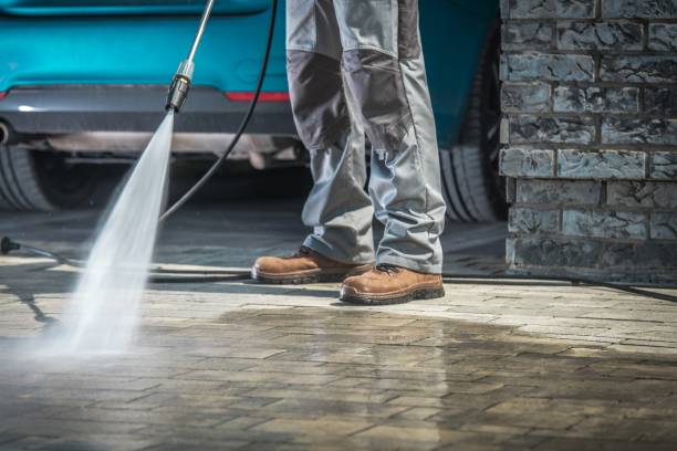 Best Animal Enclosure Cleaning  in Fairview Heights, IL
