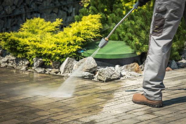 Best Roof Washing  in Fairview Heights, IL